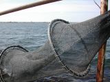 DSCN3767.JPG