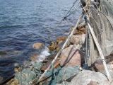 DSCN3768.JPG