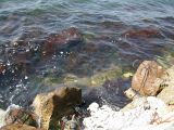 DSCN3770.JPG