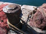 IMG_3406.JPG
