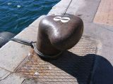 IMG_3438.JPG