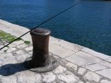 IMG_3506.JPG