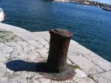 IMG_3510.JPG