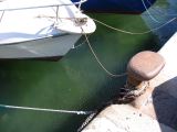 IMG_3520.JPG