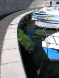 IMG_3524.JPG