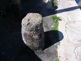 IMG_3537.JPG