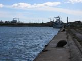IMG_3866.JPG