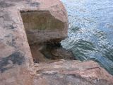 IMG_3892.JPG