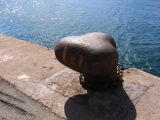 IMG_3902.JPG