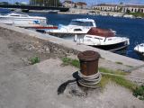 IMG_3910.JPG