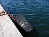 IMG_3915.JPG