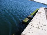 IMG_3916.JPG