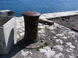 IMG_3917.JPG