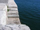 IMG_3928.JPG
