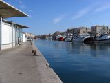 IMG_2803.JPG