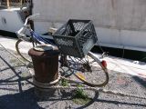 IMG_3934.JPG