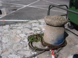 IMG_3938.JPG