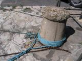 IMG_3939.JPG