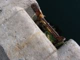 IMG_2809.JPG