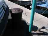 IMG_3952.JPG