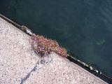 IMG_4162.JPG