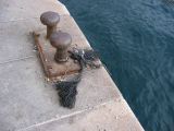IMG_4186.JPG