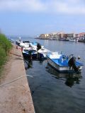 IMG_4194.JPG