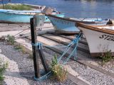 IMG_4204.JPG