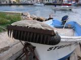 IMG_4210.JPG