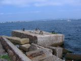 IMG_4230.JPG