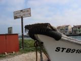 IMG_4241.JPG