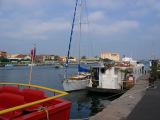 IMG_4286.JPG