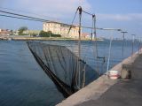 IMG_4298.JPG