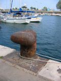 IMG_4362.JPG