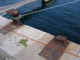 IMG_4368.JPG