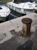 IMG_4381.JPG