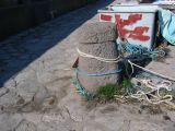 IMG_2857.JPG