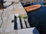 IMG_2870.JPG
