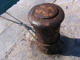IMG_2772.JPG