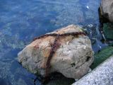 IMG_2899.JPG