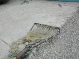 DSCN2896.JPG