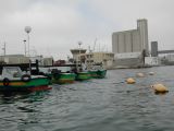 DSCN3053.JPG