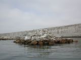 DSCN3088.JPG