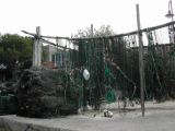 DSCN2905.JPG