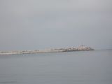 DSCN3102.JPG