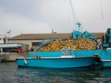 DSCN3140.JPG