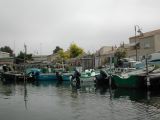 DSCN2917.JPG