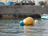 DSCN3156.JPG