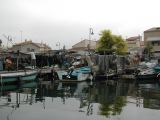 DSCN2919.JPG