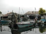 DSCN2920.JPG